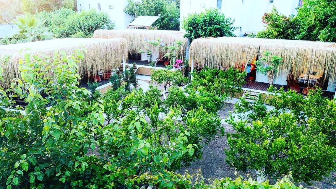 Orman Evi Podbodrum Tiny House Bodrum