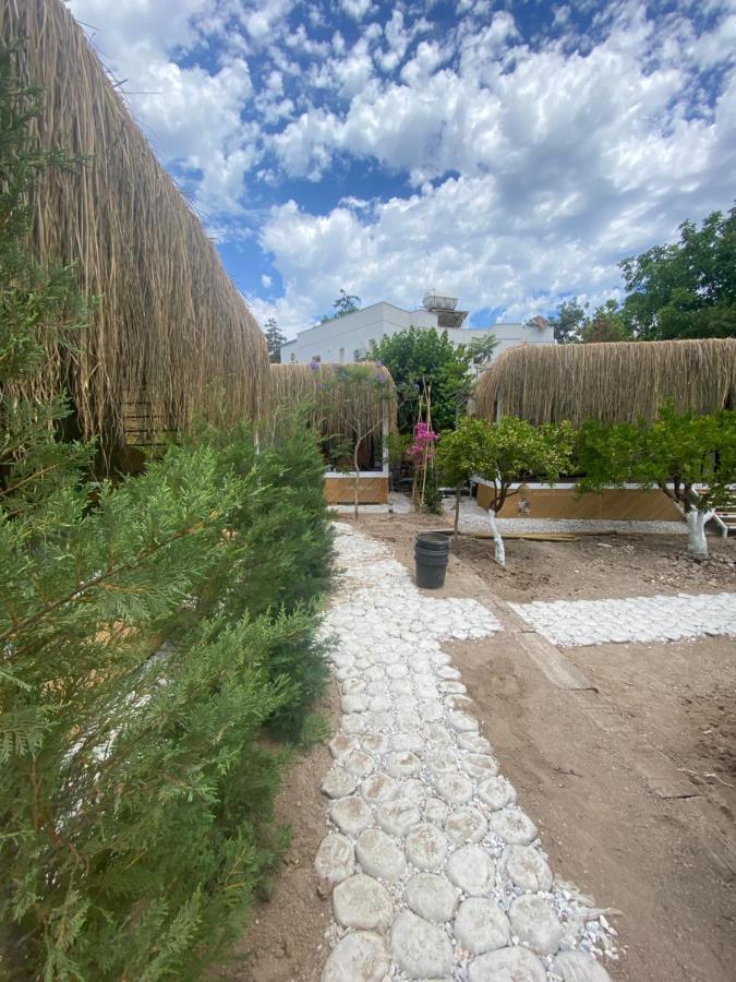 Podbodrum Tiny House Orman Evi *